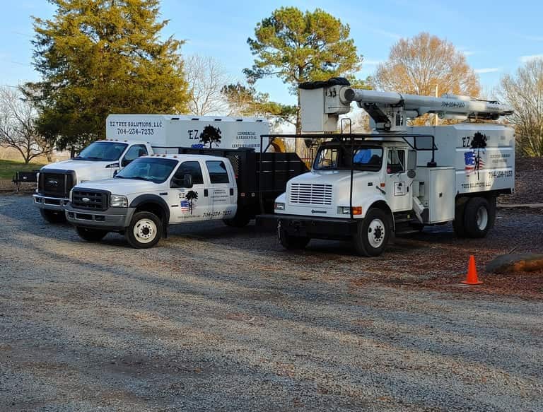 Tree care work in Charlotte